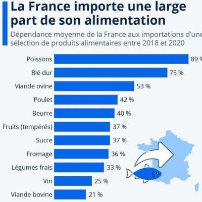 Importation produits alimentaires